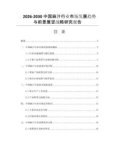 2026-2030中国麻汁行业市场发展趋势与前景展望战略研究报告
