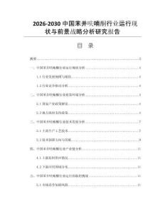 2026-2030中国苯并呋喃酮行业运行现状与前景战略分析研究报告