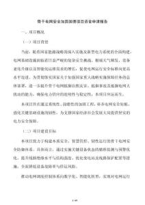 骨干电网安全加固国债项目资金申请报告