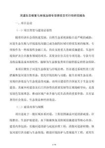 河道生态修复与岸线治理专项债项目可行性研究报告