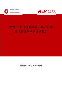 2025年中國電暖手袋市場占有率及行業(yè)競爭格局分析報告