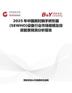 2025年中國肩肘腕手矯形器(SEWHO)設備行業市場規模及投資前景預測分析報告