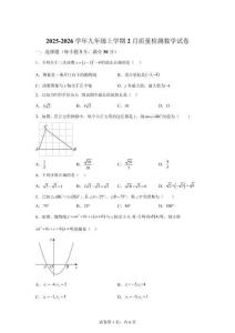 河南南陽(yáng)市宛城區(qū)茶庵鄉(xiāng)第一初級(jí)中學(xué)2025-2026學(xué)年九年級(jí)上學(xué)期2月質(zhì)量檢測(cè)數(shù)學(xué)試卷【含答案】