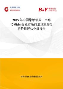 2025年中国聚甲氧基二甲醚(DMMn)行业市场前景预测及投资价值评估分析报告