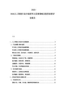 2025-2030人工智能行业市场研究与发展策略及投资前景评估报告