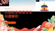 村级财务清查常见问题解析