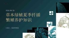 草本绿植夏季扦插繁殖养护知识