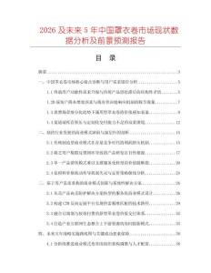 2026及未来5年中国罩衣卷市场现状数据分析及前景预测报告