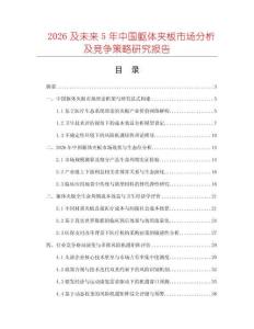 2026及未來5年中國軀體夾板市場分析及競爭策略研究報告