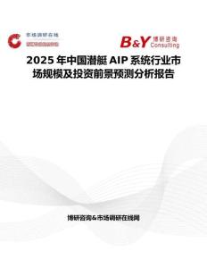 2025年中国潜艇AIP系统行业市场规模及投资前景预测分析报告