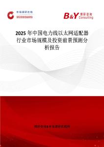 2025年中國電力線以太網(wǎng)適配器行業(yè)市場規(guī)模及投資前景預測分析報告