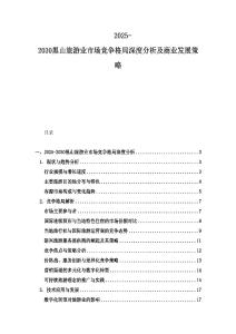 2025-2030黑山旅游业市场竞争格局深度分析及商业发展策略