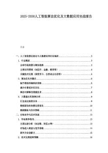 2025-2030人工智能算法优化及大数据应用实战报告