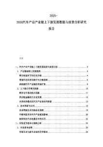 2025-2030汽车产业产业链上下游发展数据与前景分析研究报告