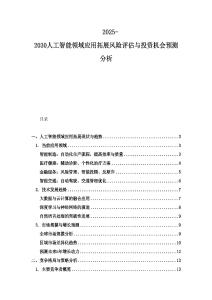 2025-2030人工智能领域应用拓展风险评估与投资机会预测分析