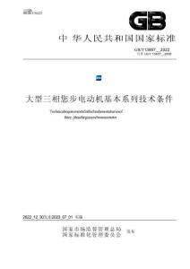 GB_T 13957-2022大型三相异步电动机基本系列技术条件