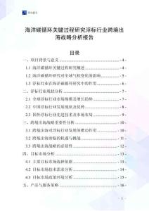 海洋碳循環關鍵過程研究浮標行業跨境出海戰略分析報告
