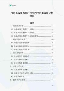 水电高效技术推广行业跨境出海战略分析报告