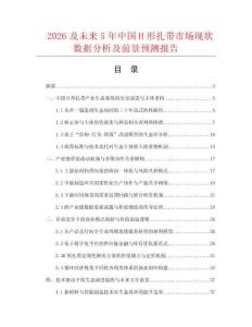 2026及未来5年中国H形扎带市场现状数据分析及前景预测报告