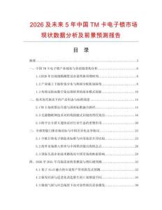 2026及未來5年中國TM卡電子鎖市場現狀數據分析及前景預測報告