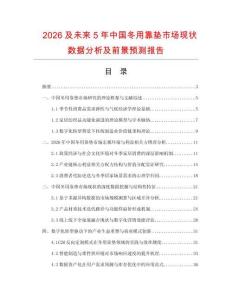 2026及未来5年中国冬用靠垫市场现状数据分析及前景预测报告