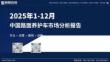 2025年1-12月中国路面养护车市场分析报告 (1)