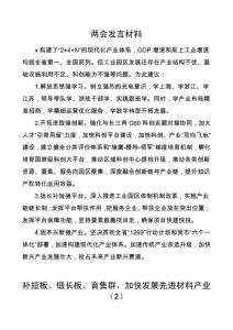 两会发言材料