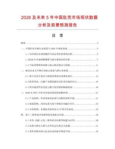 2026及未来5年中国肚兜市场现状数据分析及前景预测报告