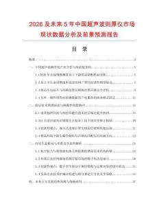 2026及未來5年中國超聲波則厚儀市場現狀數據分析及前景預測報告
