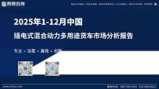 2025年1-12月中國插電式混合動力多用途貨車市場分析報告