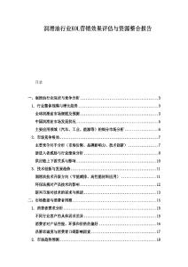 润滑油行业KOL营销效果评估与资源整合报告