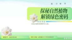 2026夏日研學(xué)沉浸式趣味植物之旅活動(dòng)方案【研學(xué)】【夏季活動(dòng)】