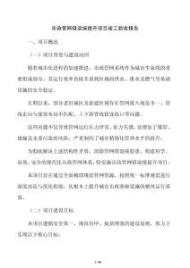 市政管網錯混接提升項目竣工驗收報告