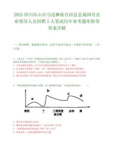 2025四川樂山市馬邊彝族自治縣縣屬國有企業(yè)領(lǐng)導(dǎo)人員招聘5人筆試歷年參考題庫附帶答案詳解