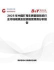 2025年中国矿用车辆管理系统行业市场规模及投资前景预测分析报告