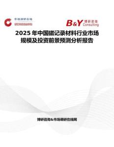 2025年中國磁記錄材料行業市場規模及投資前景預測分析報告