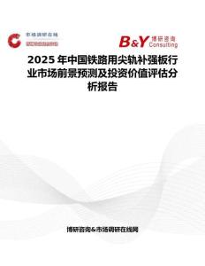 2025年中国铁路用尖轨补强板行业市场前景预测及投资价值评估分析报告