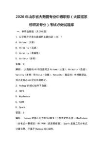 2026年山東省大數據專業中級職稱（大數據系統研發專業）考試必做試題庫