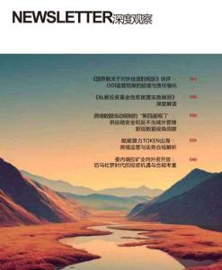 中倫深度觀察2026年6月
