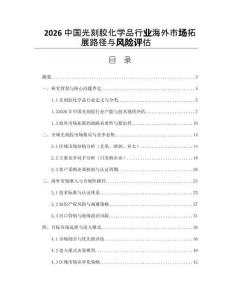 2026中國光刻膠化學品行業海外市場拓展路徑與風險評估