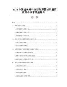 2026中國納米材料在新能源領(lǐng)域的應(yīng)用前景與技術(shù)壁壘報告