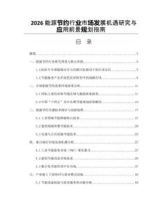 2026能源节约行业市场发展机遇研究与应用前景规划指南