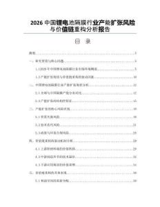 2026中国锂电池隔膜行业产能扩张风险与价值链重构分析报告