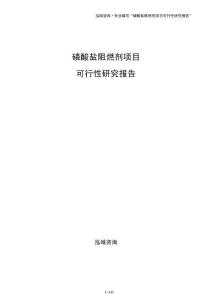 磷酸鹽阻燃劑項目可行性研究報告