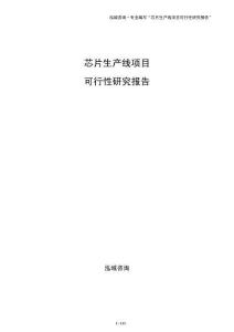 芯片生产线项目可行性研究报告