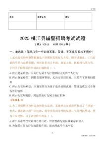 2025桃江輔警試題