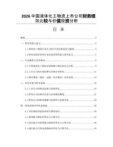 2026中國液體化工物流上市公司財務(wù)績效比較與價值投資分析