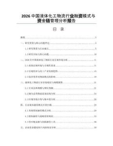 2026中國液體化工物流行業融資模式與資金鏈管理分析報告