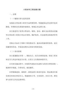 小型水利工程運維方案