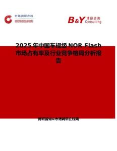2025年中國車規級NOR Flash市場占有率及行業競爭格局分析報告